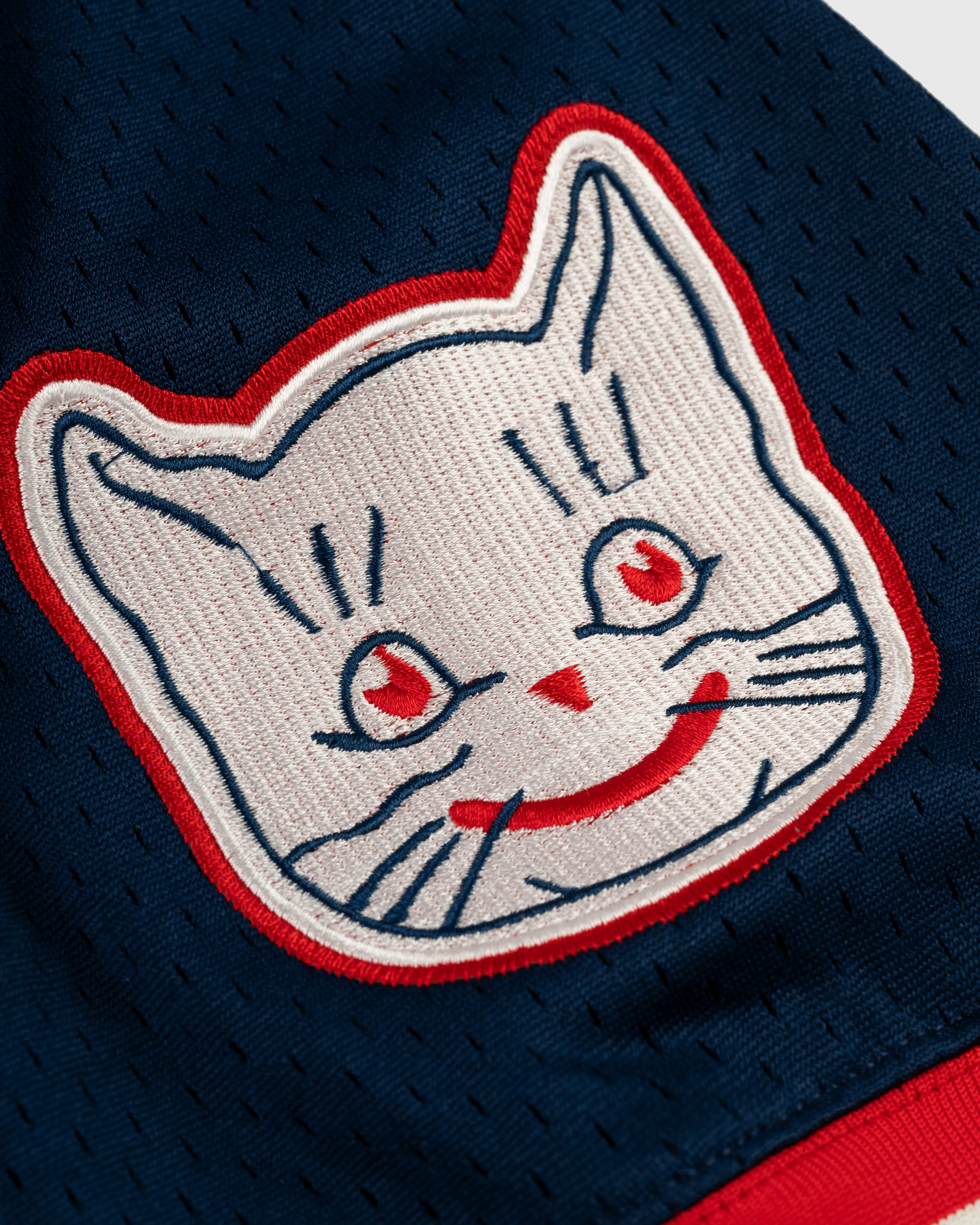 Kansas City Katz Mesh V-Neck Jersey