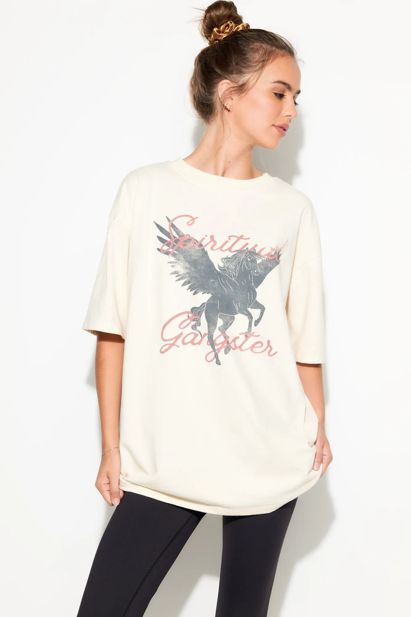 Pegasus Boyfriend Tee