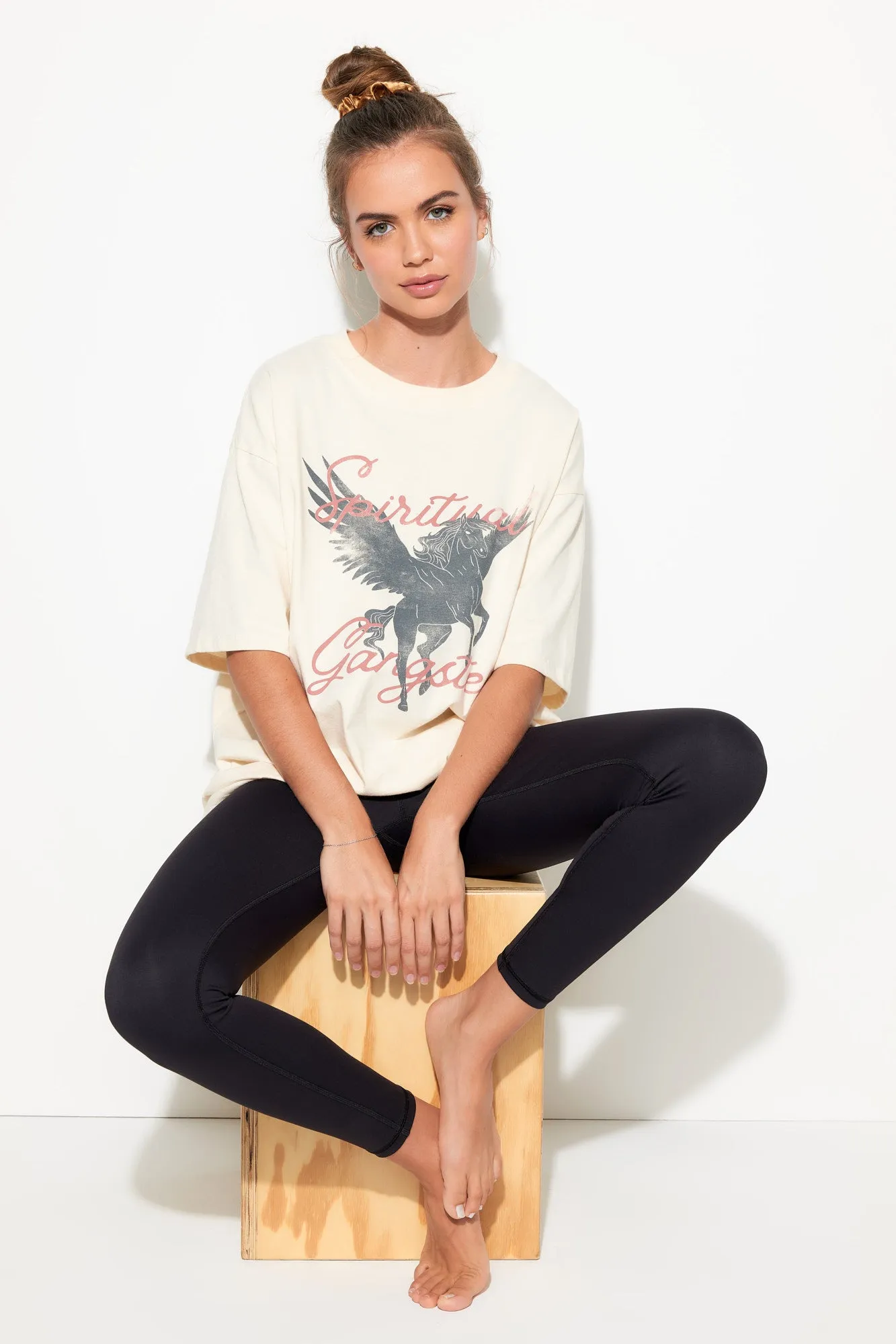 Pegasus Boyfriend Tee