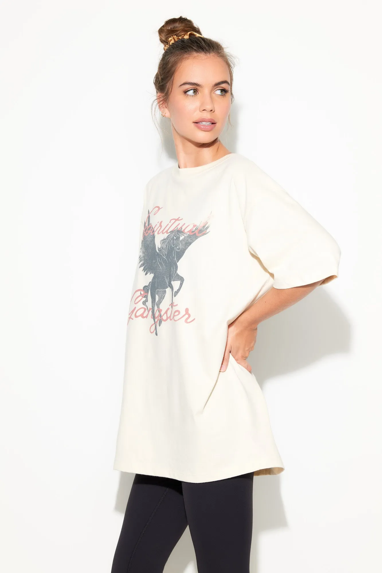 Pegasus Boyfriend Tee